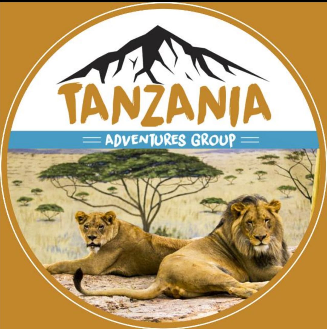Tanzania Adventures Group Team